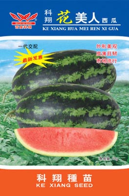 花美人西瓜