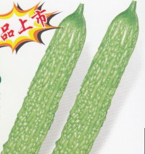 碧士绿苦瓜